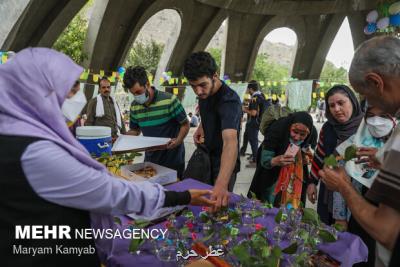 گزارش یک جشن در تپه نورالشهدای کلکچال
