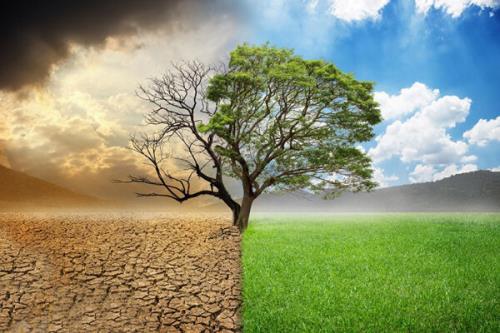 محبت نوعی انجذاب و کشش آگاهانه است