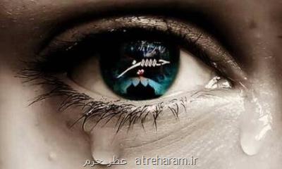 حدیثی از امام رضا ضد السلام در مورد گریه بر امام حسین(ع)