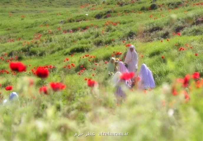 الگوی دینی حضور زن در جامعه نه انزوا، نه بی مرزی
