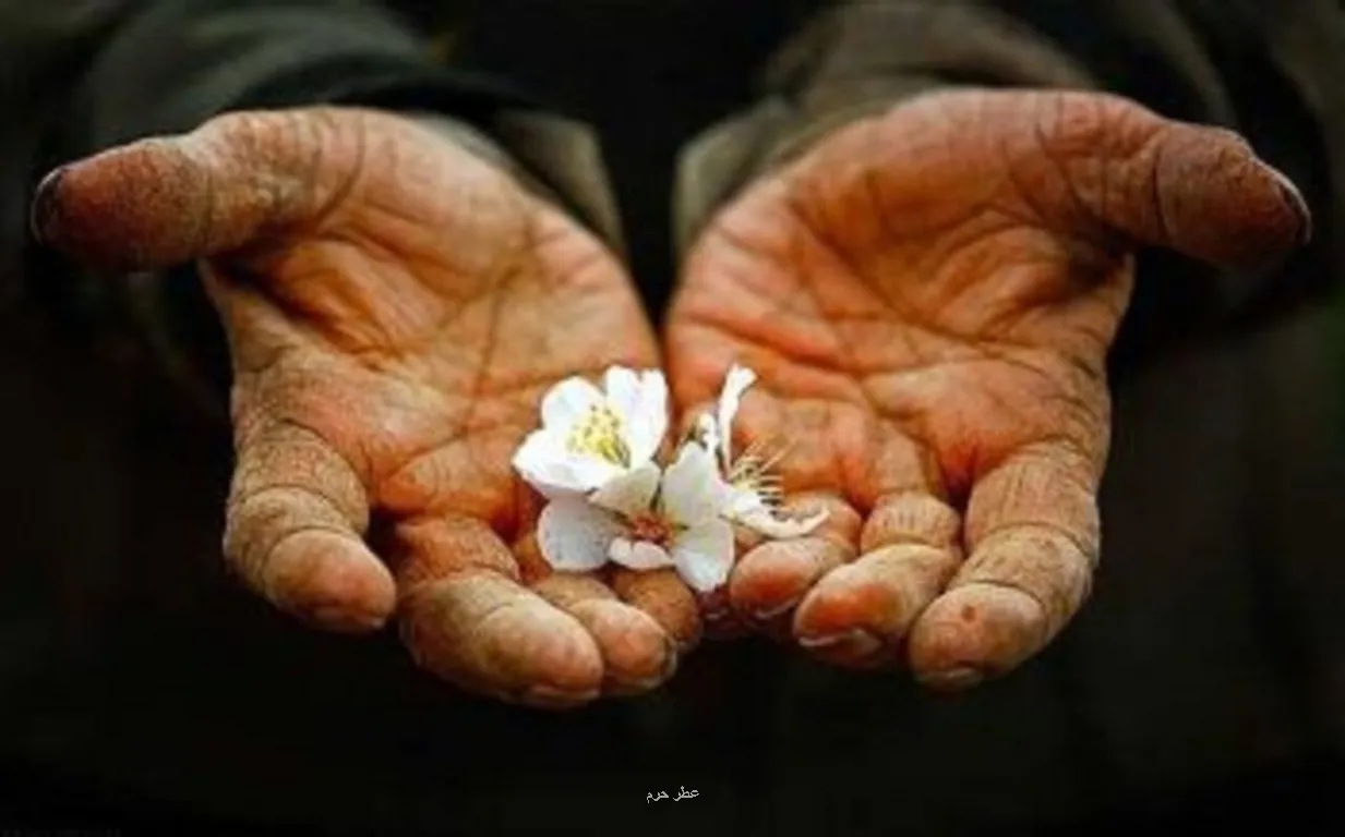 درآمد حلال چه طور آرامش و خوشبختی را به خانواده می آورد؟