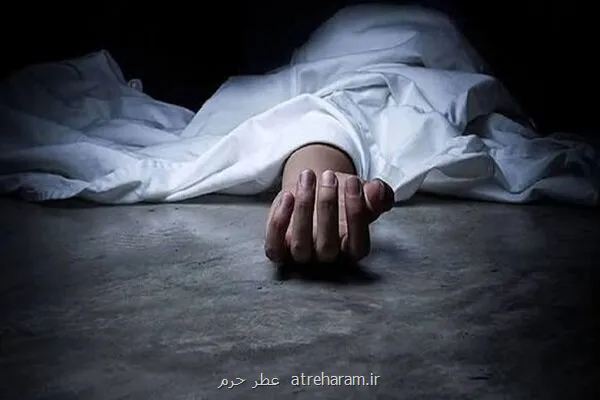 آلن دو باتن مرگ را معنا بخش زندگی می داند تمرین مردم با افلاطون