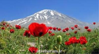 اگر منطقه وقف شده دماوند مرتع باشد اراضی ملی تلقی می شود