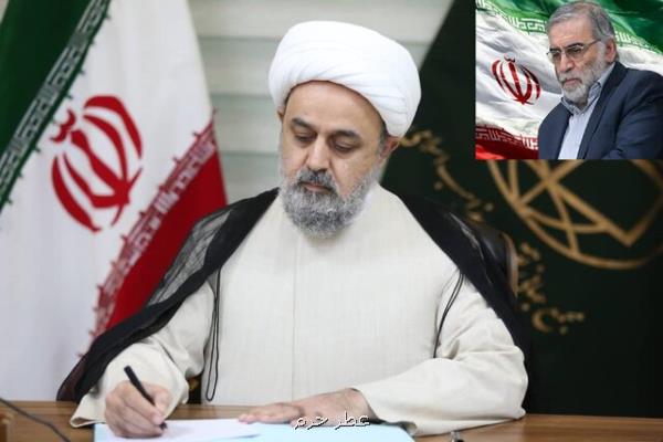 پیام دبیركل مجمع جهانی تقریب مذاهب اسلامی به دنبال شهادت شهید فخری زاده